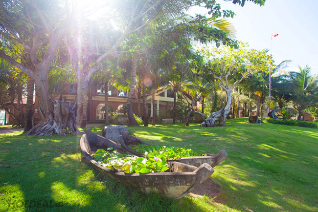 BÀu Mai Resort Apricot Resort KÊ GÀ Phan ThiẾt 3 2n1Đ PhÒng Cao